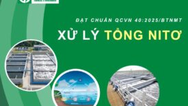 Vấn Đề Thường Gặp Khi Xử Lý Tổng Lượng Nito Trong Nước Thải Và Cách Khắc Phục
